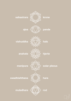plakat: chakra - creamy mushroom
