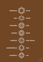 plakat: chakra - dark brown