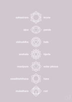 plakat: chakra - dusty lilac