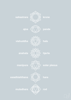 plakat: chakra - light drizzle