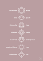 plakat: chakra - light rose