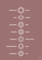 plakat: chakra - plum