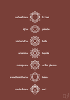 plakat: chakra - red pepper