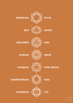 plakat: chakra - rumba orange