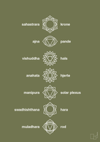 plakat: chakra - secret meadow