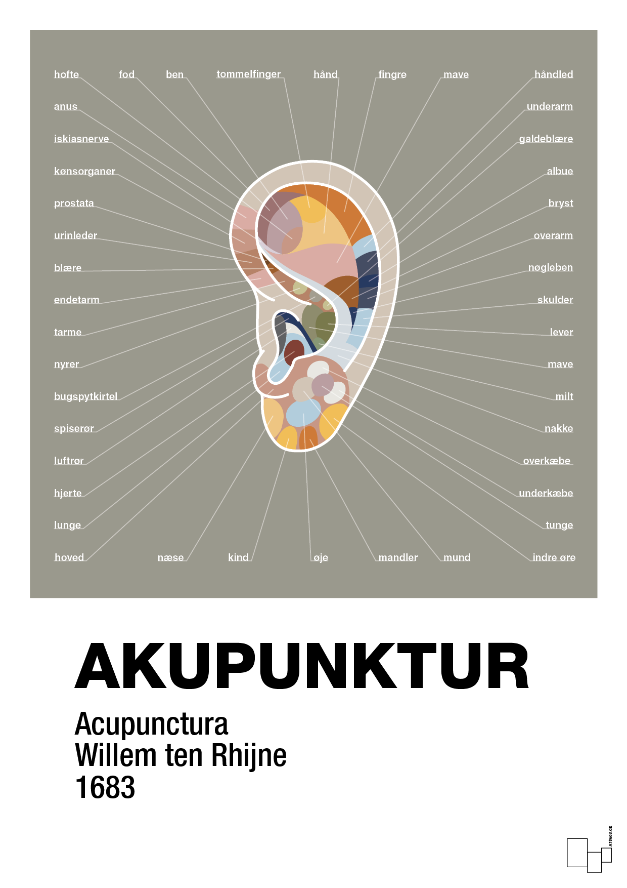 plakat: akupunktur - battleship gray-Alternativ-A1two3