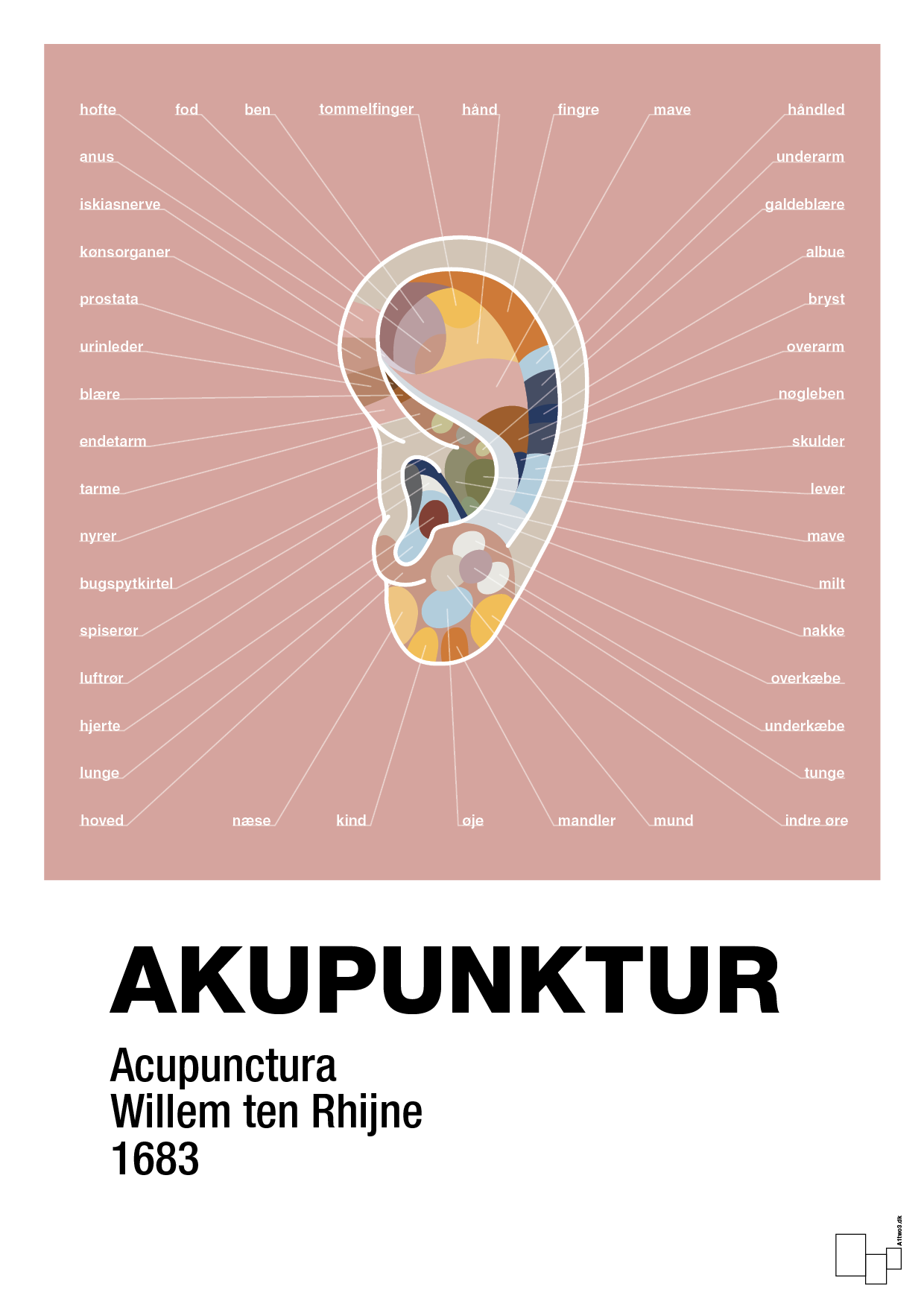 plakat: akupunktur - bubble shell-Alternativ-A1two3