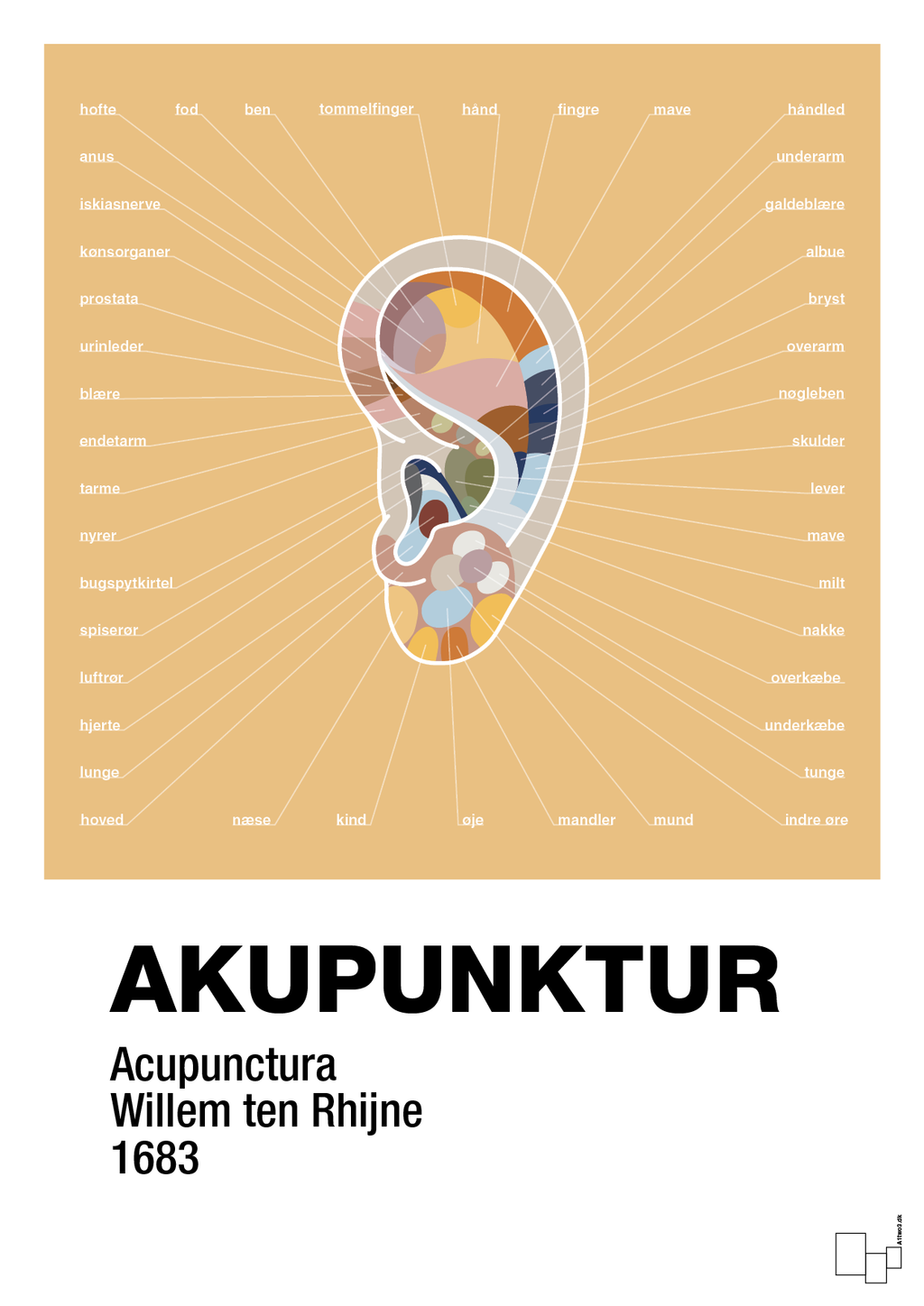 plakat: akupunktur - charismatic-Alternativ-A1two3
