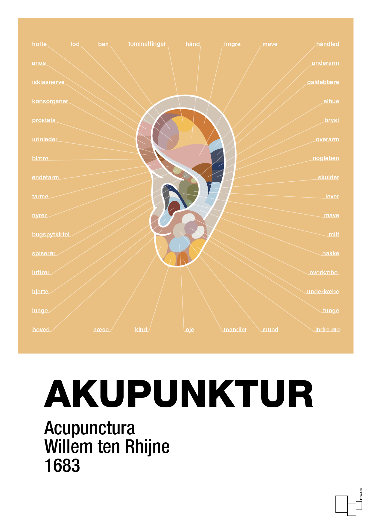 plakat: akupunktur - charismatic-Alternativ-A1two3
