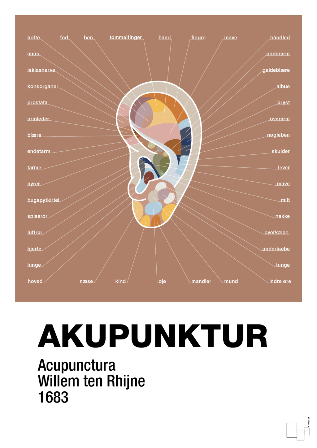 plakat: akupunktur - cider spice-Alternativ-A1two3