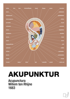 plakat: akupunktur - cider spice-Alternativ-A1two3