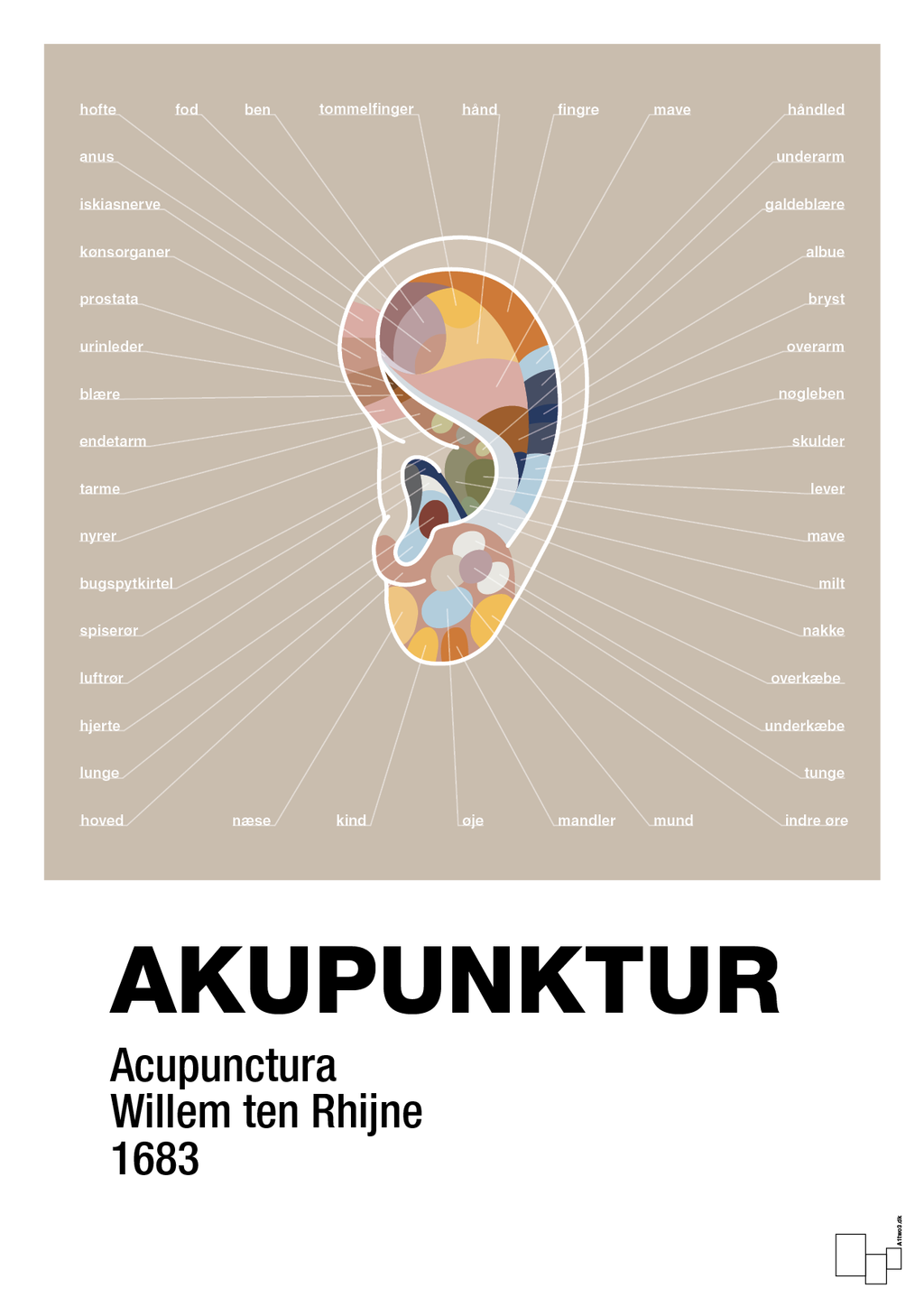 plakat: akupunktur - creamy mushroom-Alternativ-A1two3