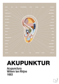 plakat: akupunktur - creamy mushroom-Alternativ-A1two3