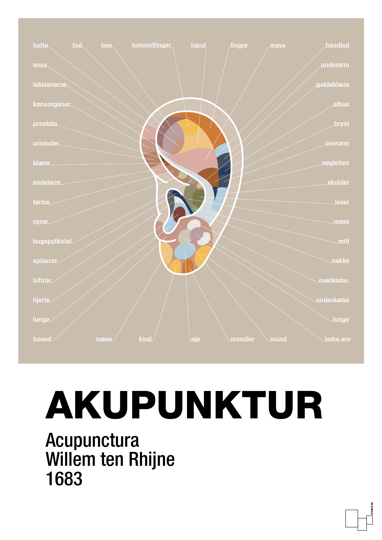 plakat: akupunktur - creamy mushroom-Alternativ-A1two3