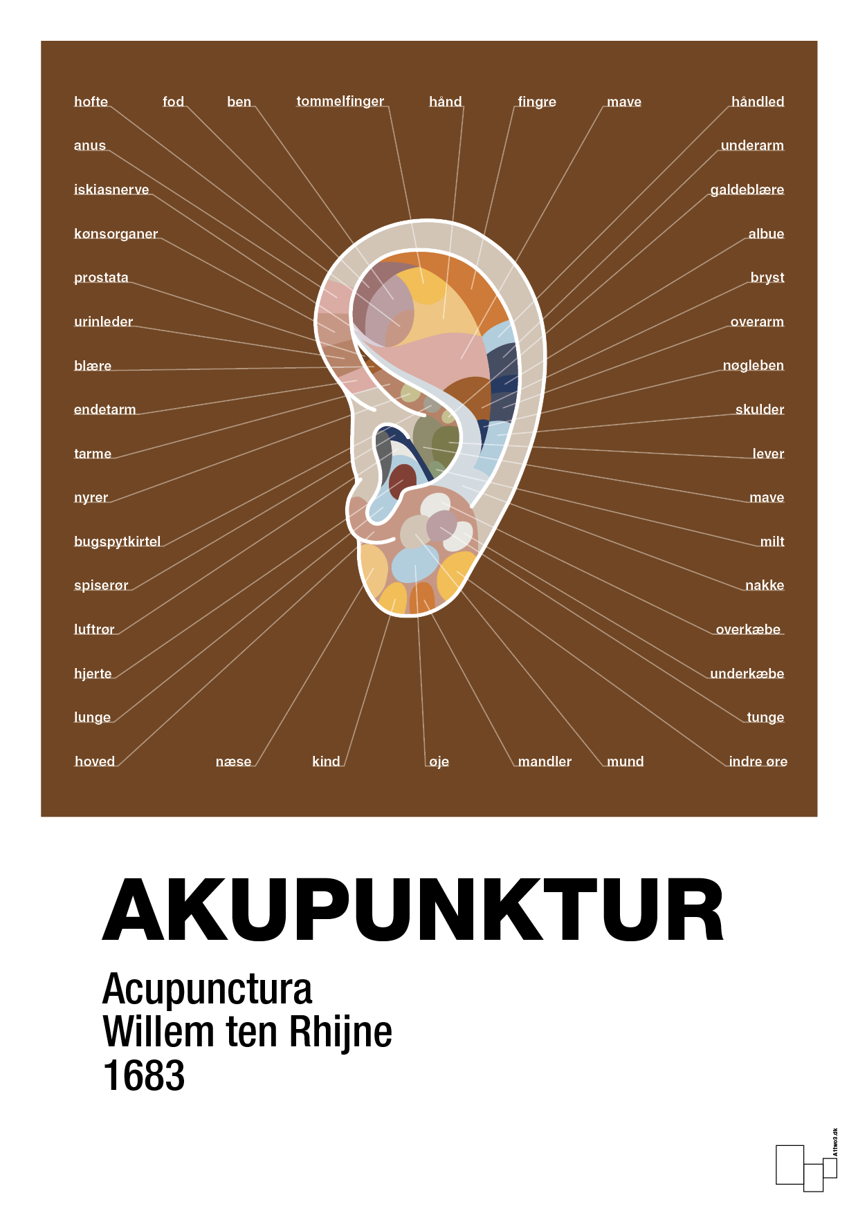 plakat: akupunktur - dark brown-Alternativ-A1two3