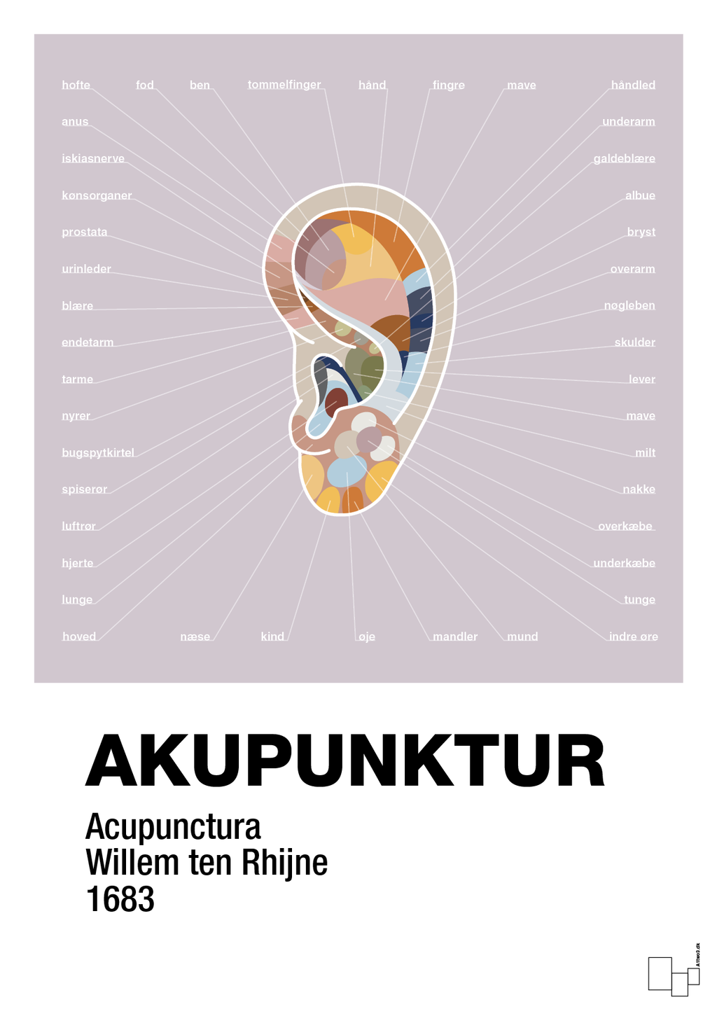 plakat: akupunktur - dusty lilac-Alternativ-A1two3