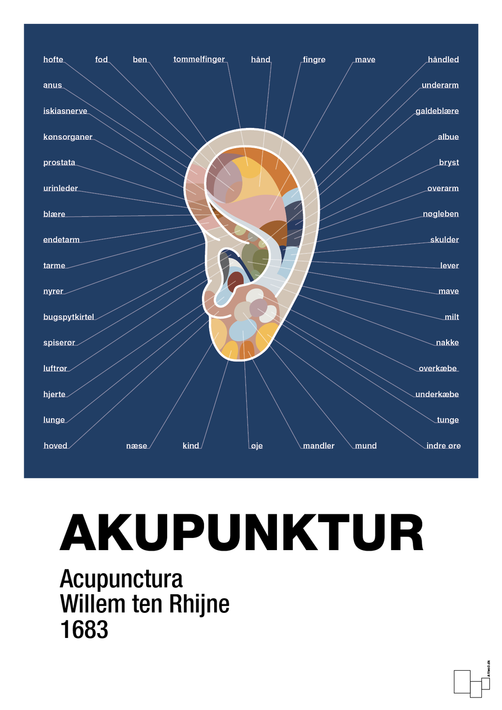 plakat: akupunktur - lapis blue-Alternativ-A1two3