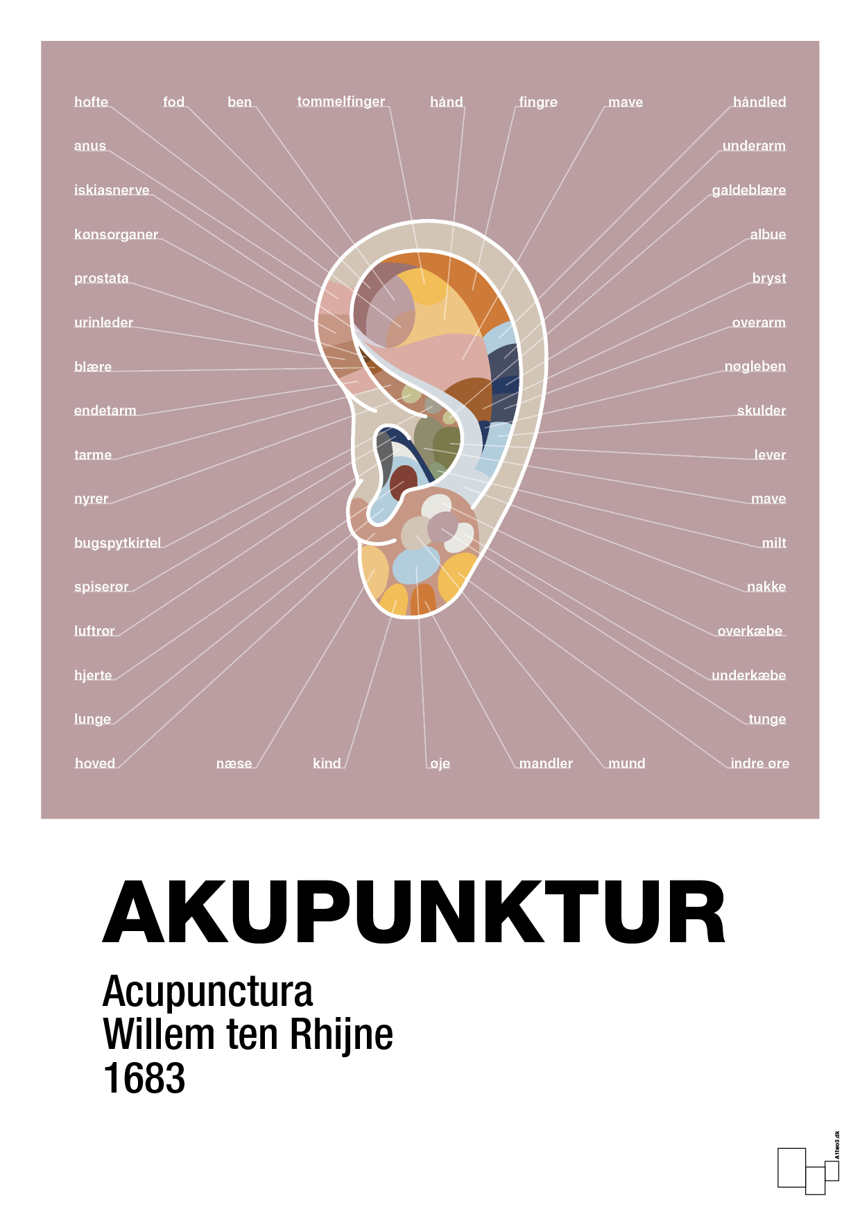 plakat: akupunktur - light rose-Alternativ-A1two3