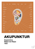 plakat: akupunktur - rumba orange-Alternativ-A1two3