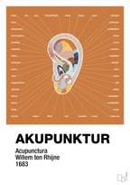 plakat: akupunktur - rumba orange-Alternativ-A1two3