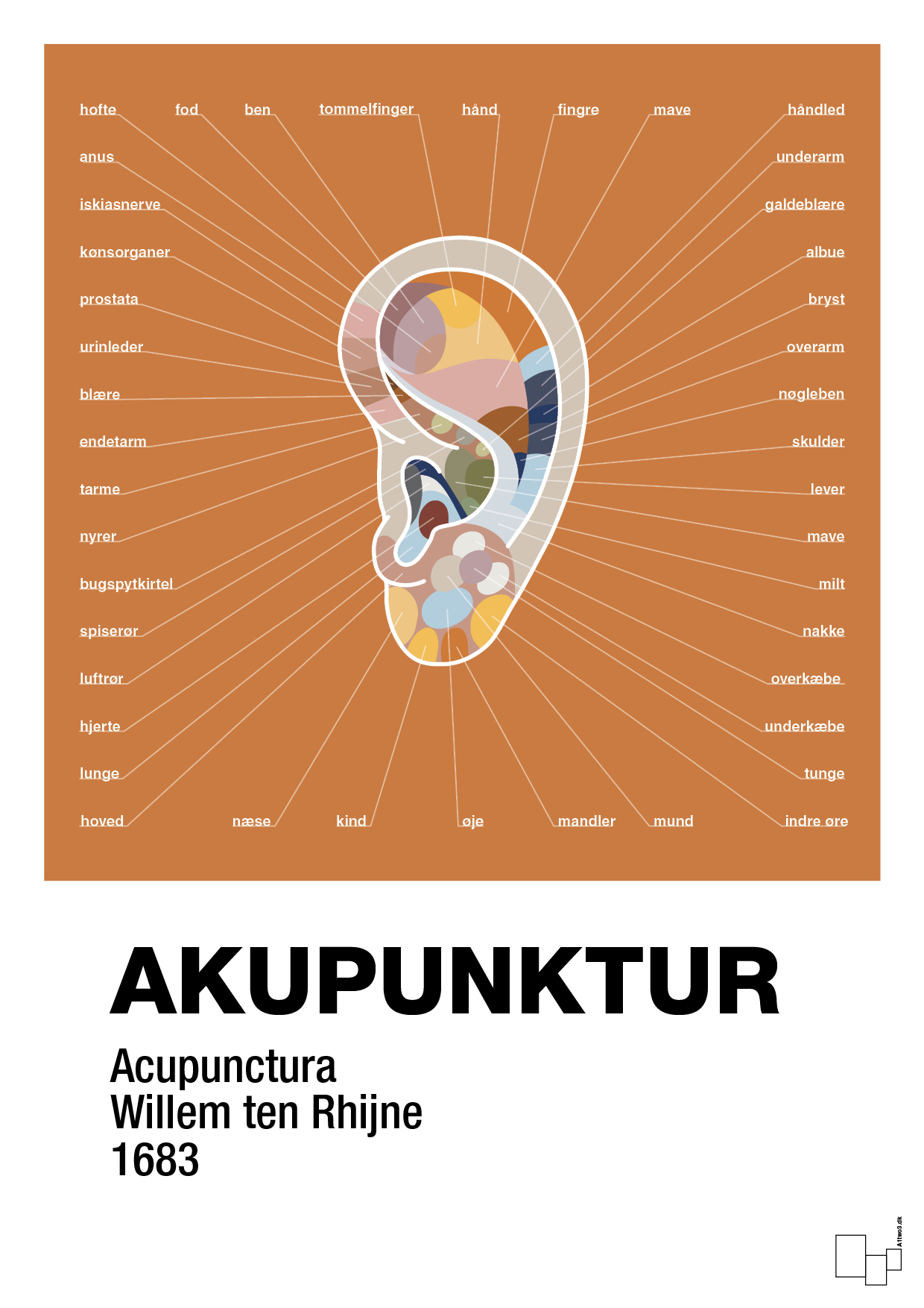plakat: akupunktur - rumba orange-Alternativ-A1two3