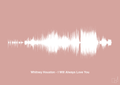 plakat: whitney houston - i will always love you - bubble shell-Soundwave-A1two3