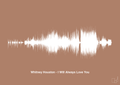 plakat: whitney houston - i will always love you - cider spice-Soundwave-A1two3