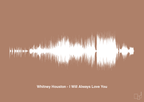 plakat: whitney houston - i will always love you - cider spice-Soundwave-A1two3
