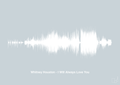 plakat: whitney houston - i will always love you - light drizzle-Soundwave-A1two3