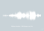 plakat: whitney houston - i will always love you - light drizzle-Soundwave-A1two3