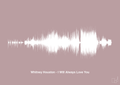 plakat: whitney houston - i will always love you - light rose-Soundwave-A1two3