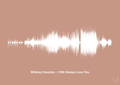 plakat: whitney houston - i will always love you - powder-Soundwave-A1two3