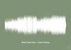 plakat: black eyed peas - i gotta feeling - jade-Soundwave-A1two3