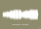 plakat: black eyed peas - i gotta feeling - misty forrest-Soundwave-A1two3
