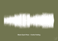 plakat: black eyed peas - i gotta feeling - secret meadow-Soundwave-A1two3