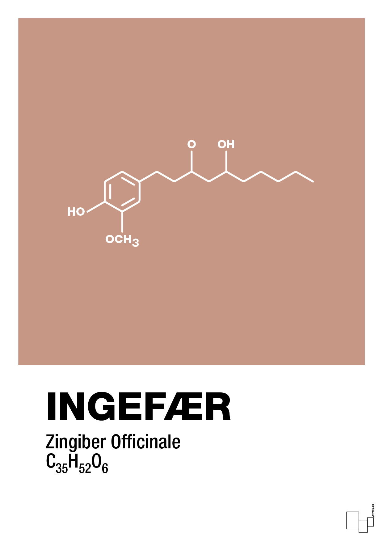 ingefær - Plakat med Videnskab i Powder
