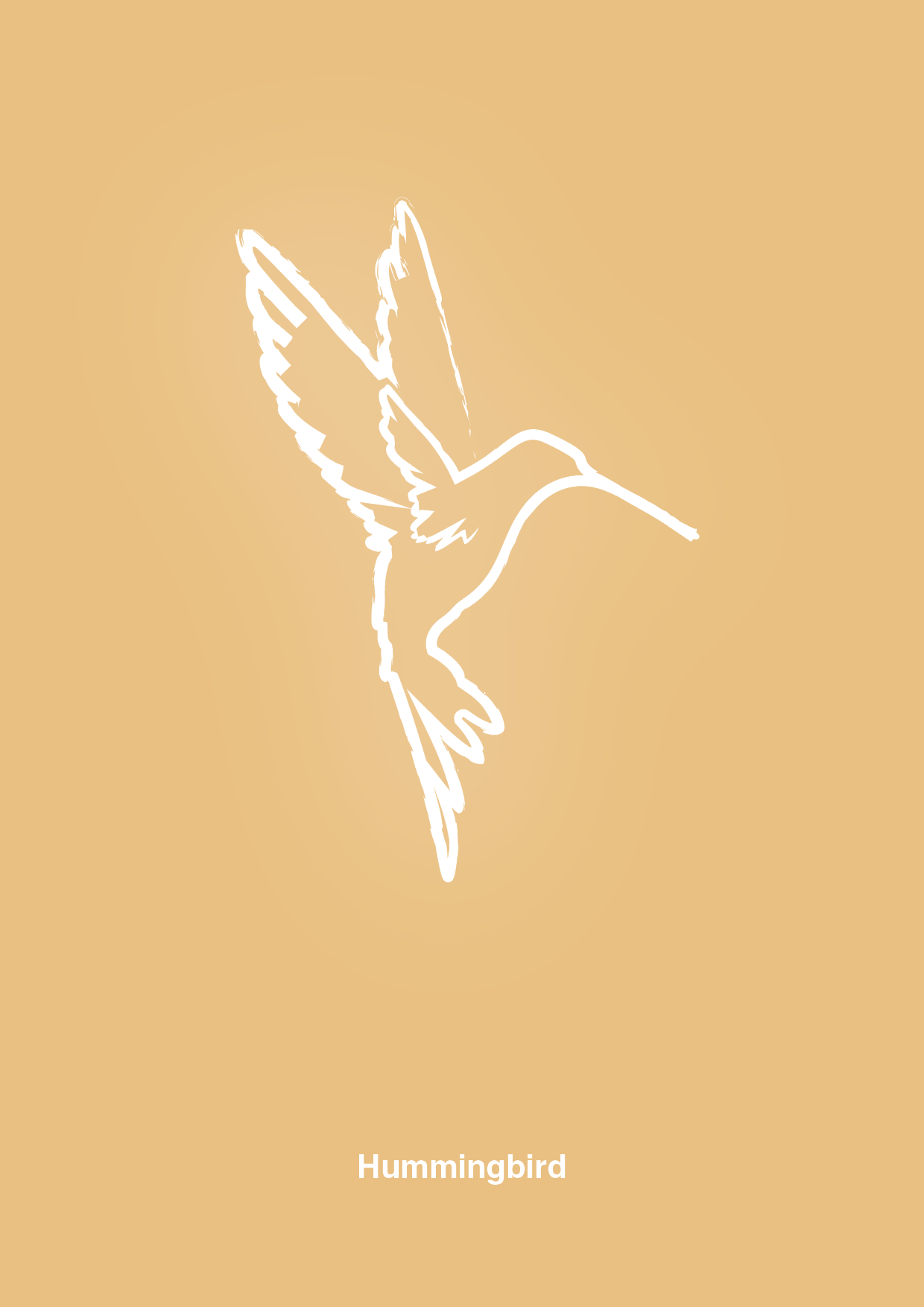 kolibri - Plakat med Grafik i Charismatic