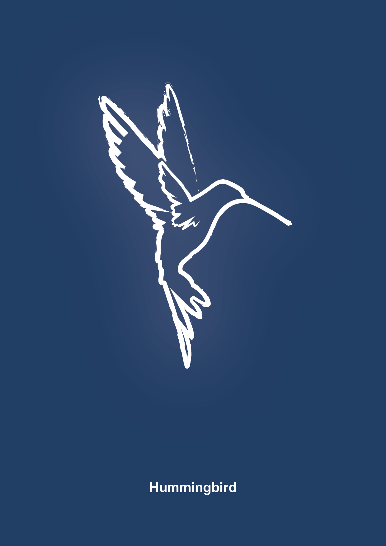 kolibri - Plakat med Grafik i Lapis Blue