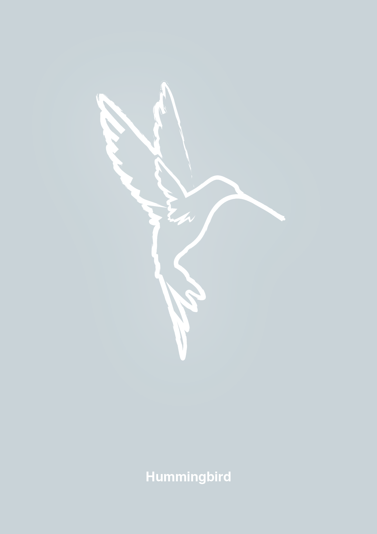 kolibri - Plakat med Grafik i Light Drizzle