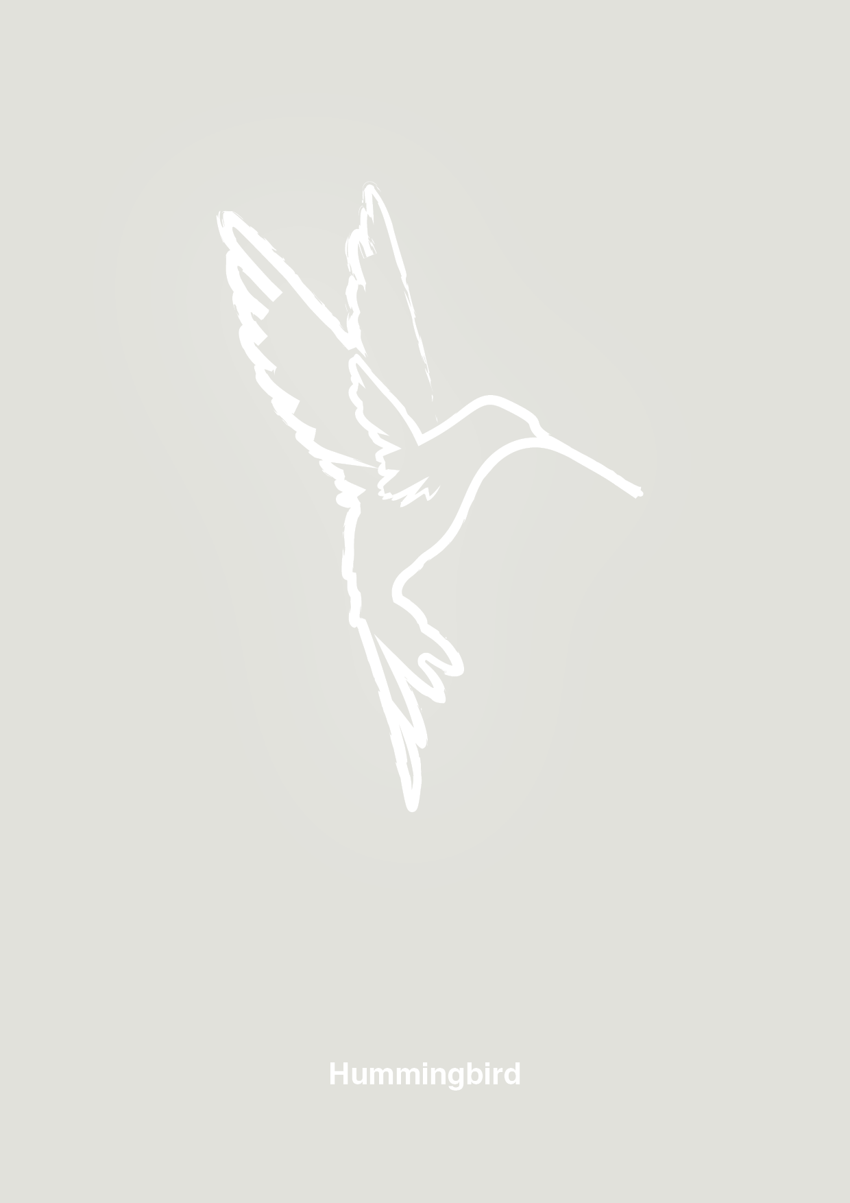 kolibri - Plakat med Grafik i Painters White