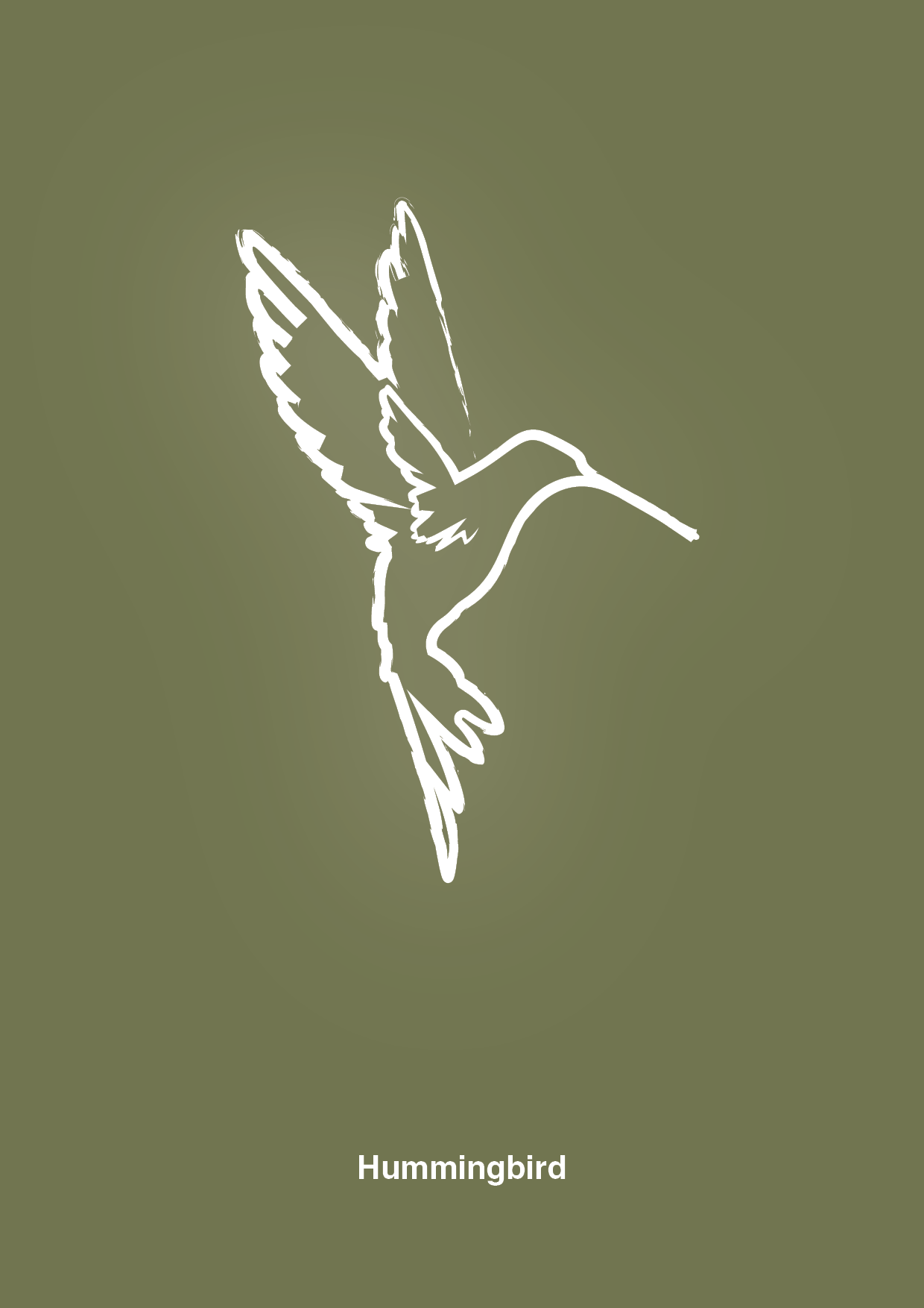 kolibri - Plakat med Grafik i Secret Meadow