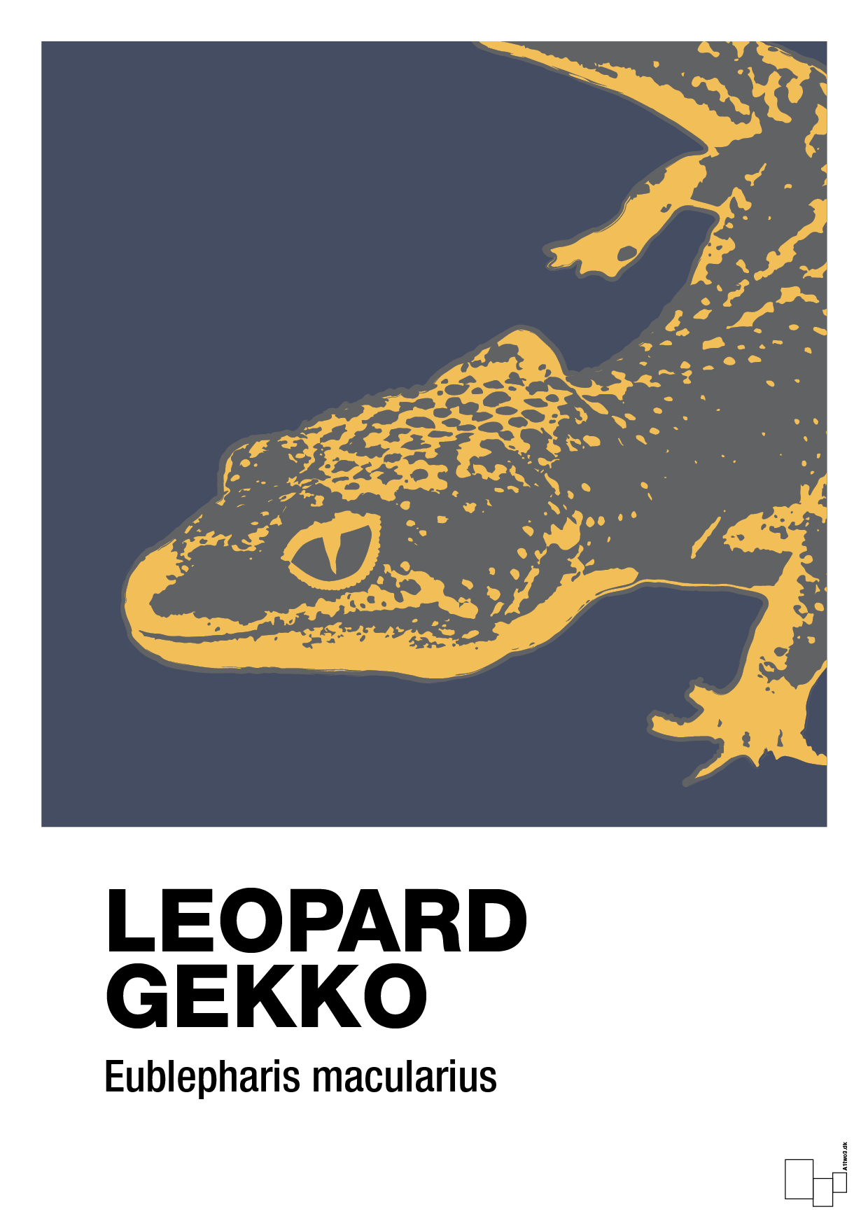 leopard gekko - Plakat med Videnskab i Petrol