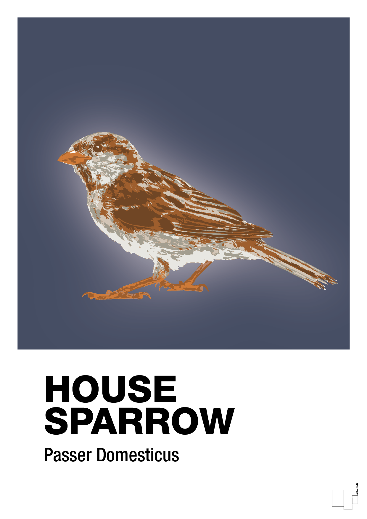 house sparrow - Plakat med Videnskab i Petrol