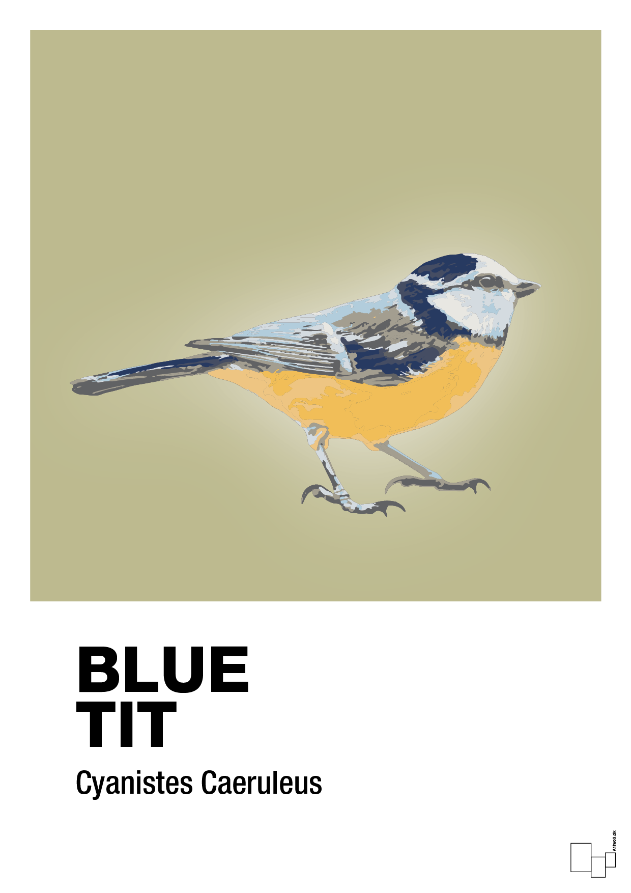 blue tit - Plakat med Videnskab i Back to Nature