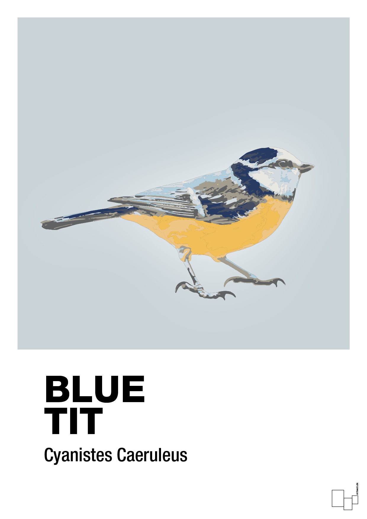 blue tit - Plakat med Videnskab i Light Drizzle