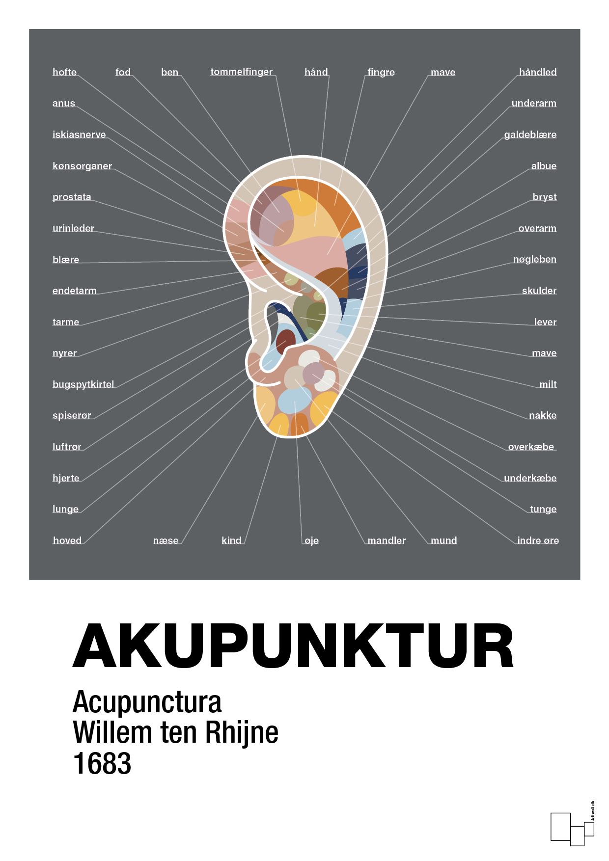 plakat: akupunktur