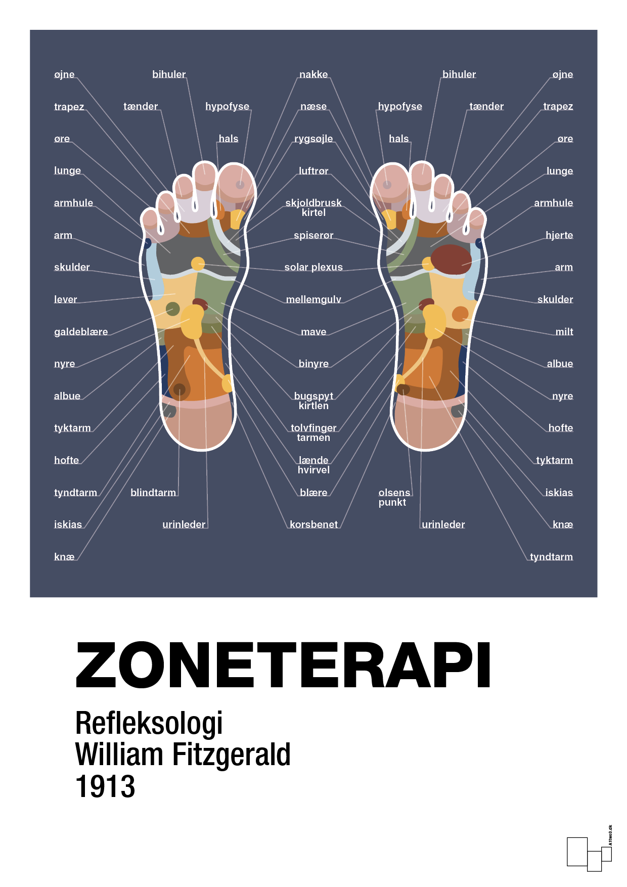 zoneterapi - Plakat med Videnskab i Petrol